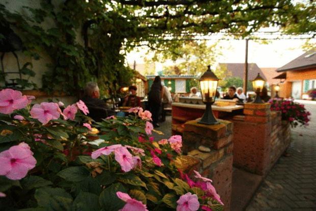 Gasthaus Hotel Adler Endingen am Kaiserstuhl Eksteriør bilde